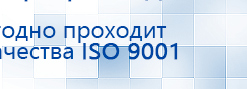 Пояс электрод для аппаратов Скэнар купить в Заречном, Выносные электроды купить в Заречном, Медицинская техника - denasosteo.ru